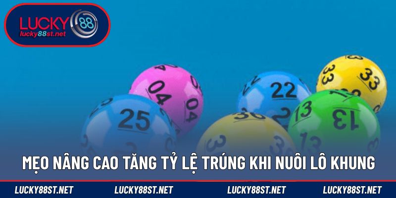 Mẹo nâng cao tăng tỷ lệ trúng khi nuôi lô khung