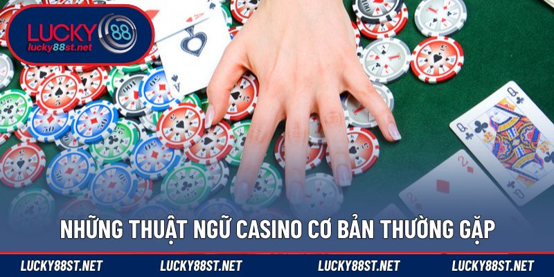 Những thuật ngữ casino cơ bản thường gặp