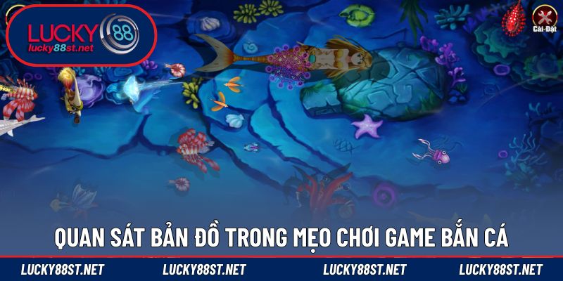Quan sát bản đồ trong mẹo chơi game bắn cá