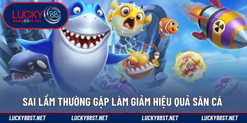 Sai lầm thường gặp làm giảm hiệu quả săn cá